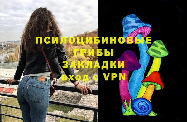 винт Новозыбков