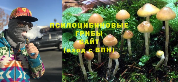 винт Новозыбков