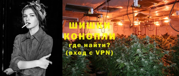 PSILOCYBIN Новодвинск