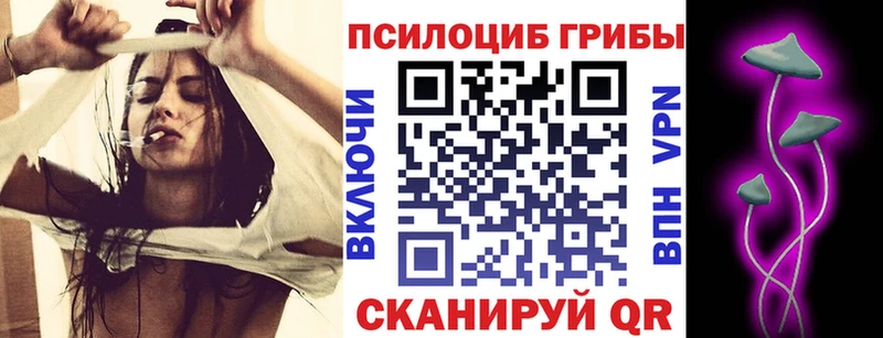 Галлюциногенные грибы Psilocybe  blacksprut tor  Мензелинск 